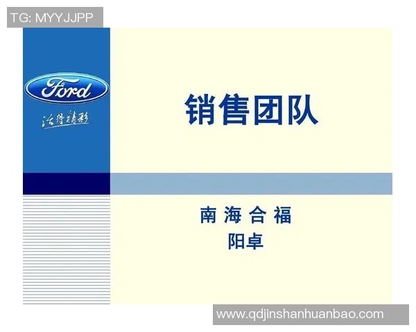 成都飞盘队团队协作表现数据分析探讨与提升策略研究