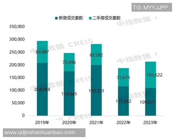 武汉滑板队状态对比深度解析与未来发展趋势探讨